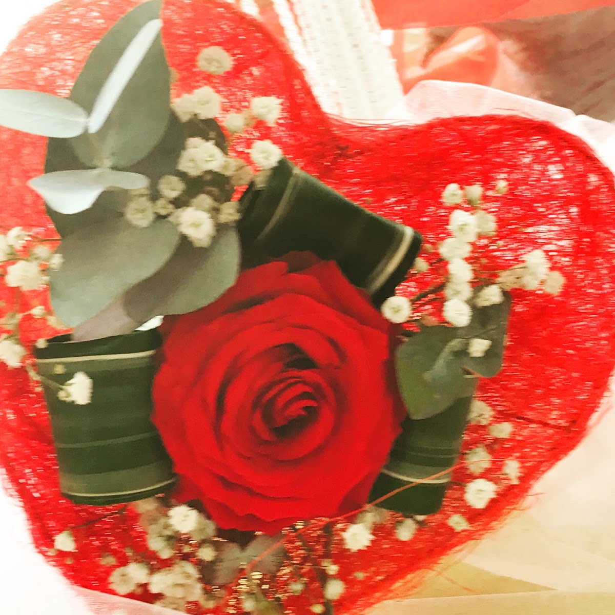 La Féerie des fleurs - 1